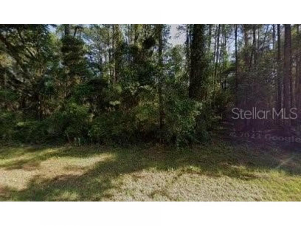 Picture of Residential Land For Sale in Citrus Springs, Florida, United States