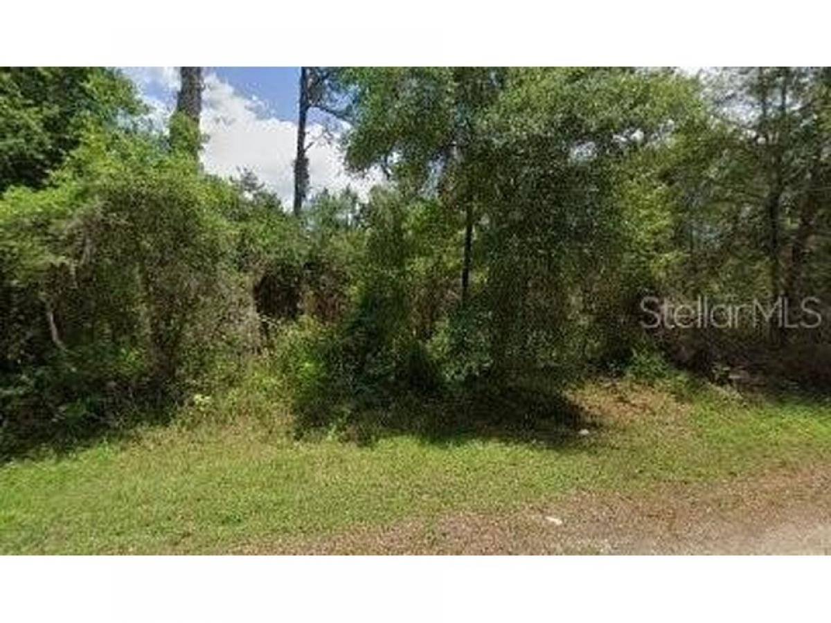 Picture of Residential Land For Sale in Dunnellon, Florida, United States