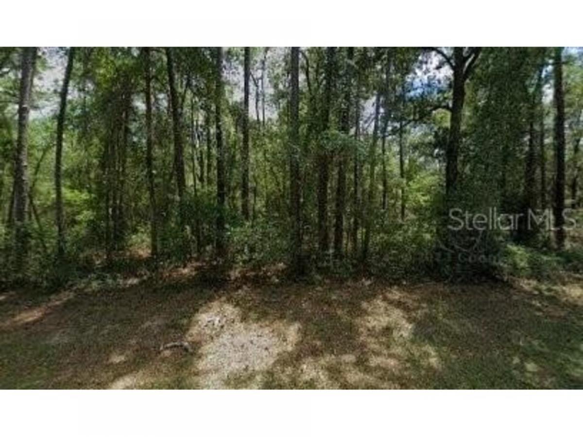 Picture of Residential Land For Sale in Citrus Springs, Florida, United States