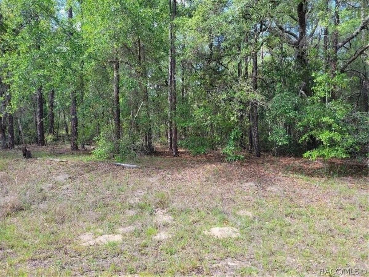 Picture of Residential Land For Sale in Dunnellon, Florida, United States