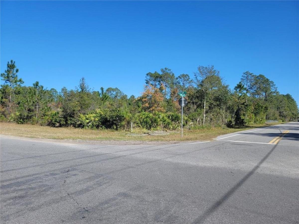 Picture of Residential Land For Sale in Bunnell, Florida, United States