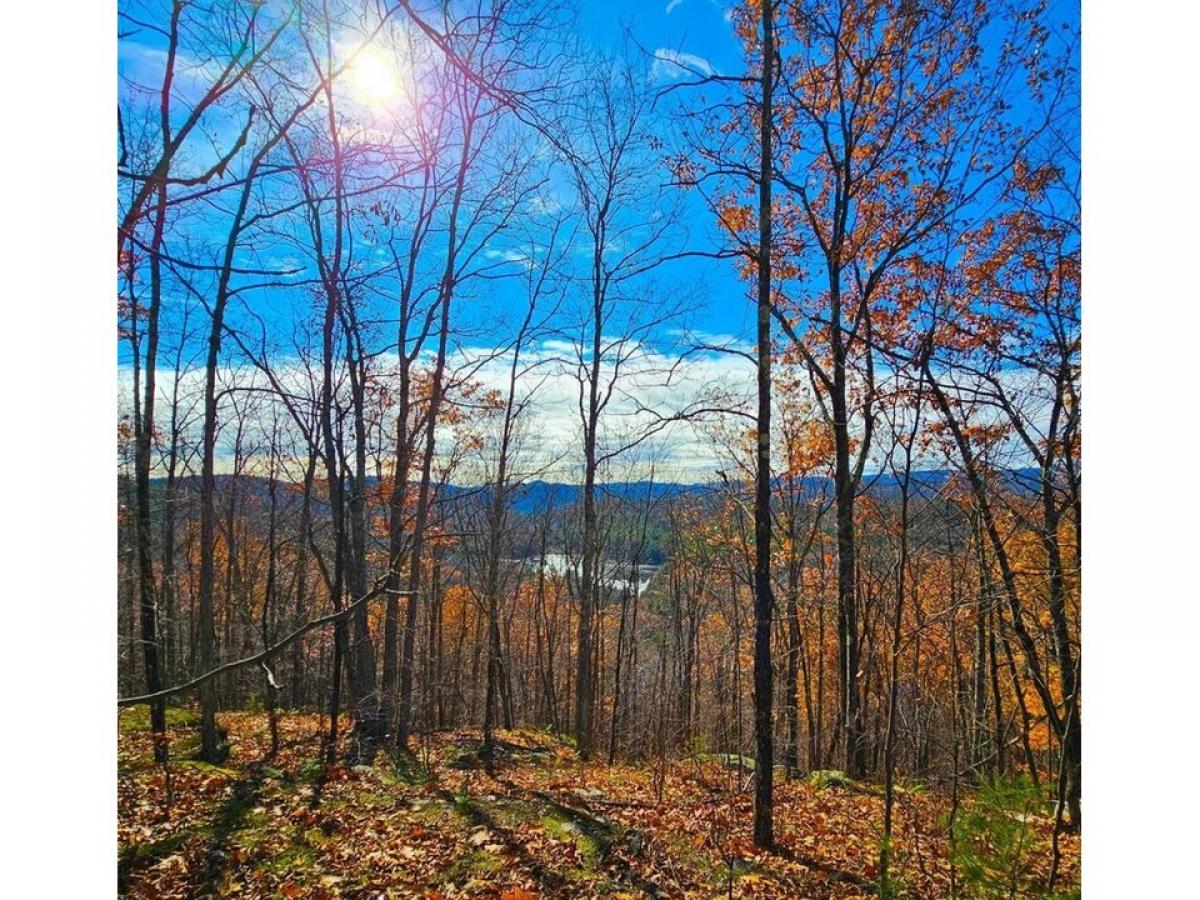 Picture of Residential Land For Sale in Chester, Vermont, United States