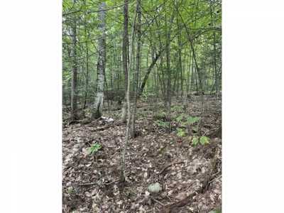 Residential Land For Sale in Vershire, Vermont