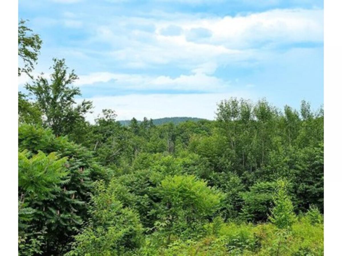 Picture of Residential Land For Sale in Dummerston, Vermont, United States