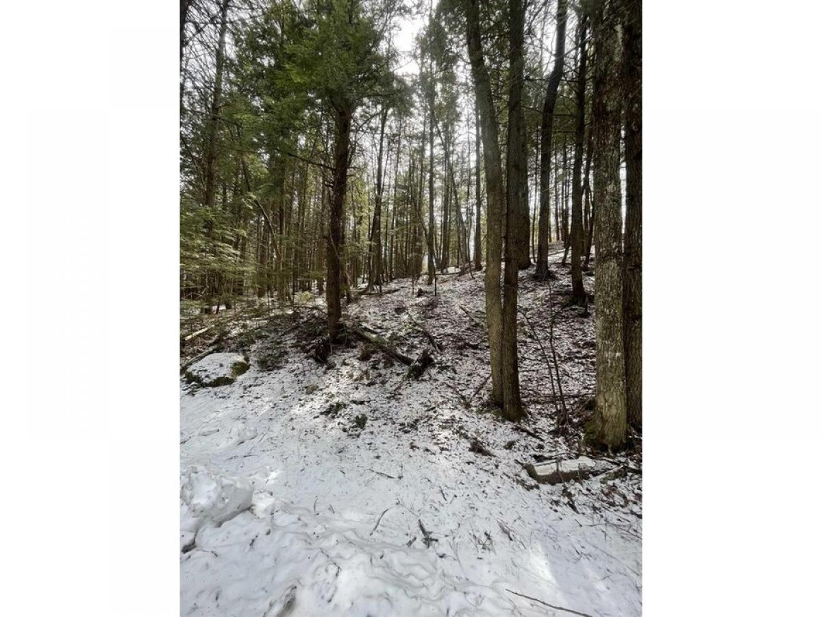 Picture of Residential Land For Sale in Grafton, Vermont, United States