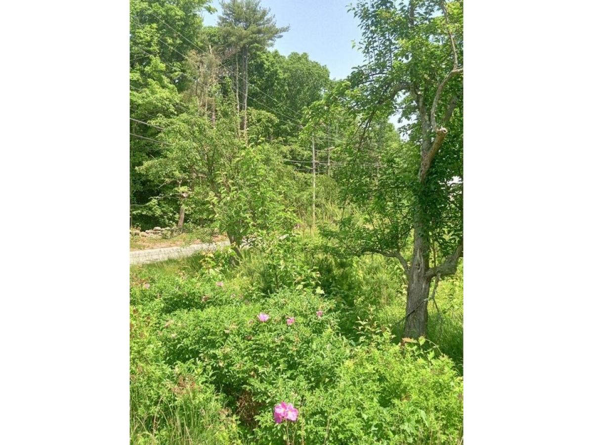 Picture of Residential Land For Sale in Fitzwilliam, New Hampshire, United States