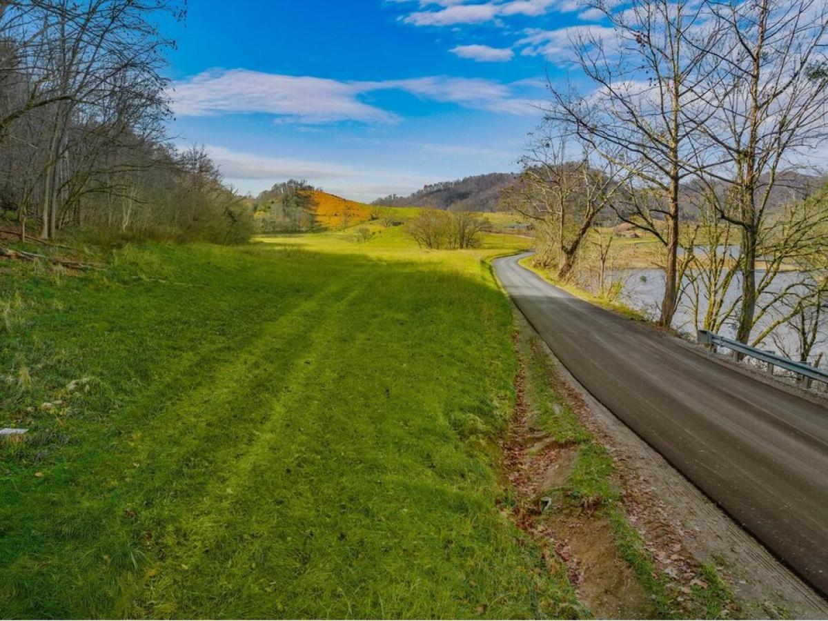 Picture of Residential Land For Sale in Eidson, Tennessee, United States