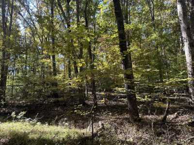 Residential Land For Sale in Baneberry, Tennessee