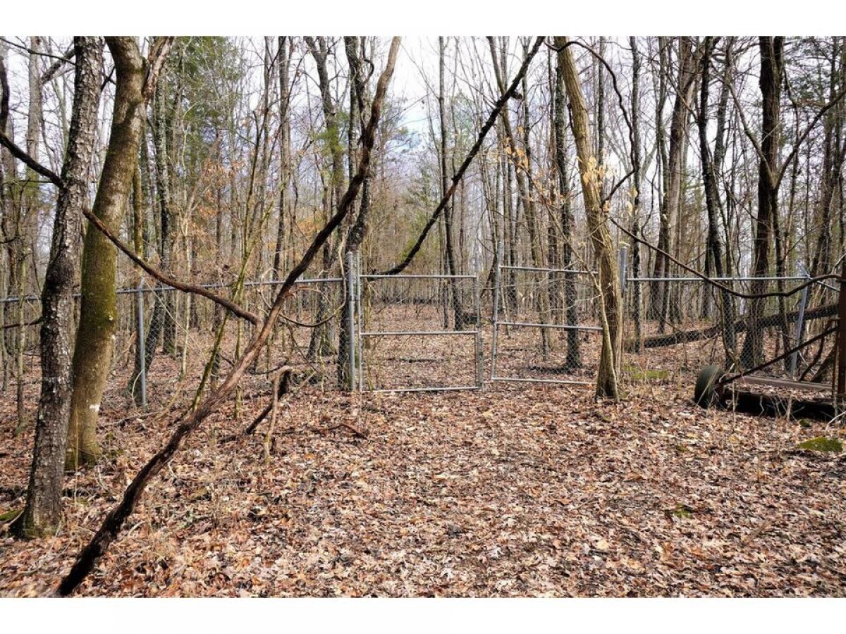 Picture of Residential Land For Sale in Dandridge, Tennessee, United States