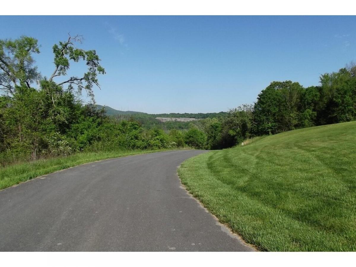 Picture of Residential Land For Sale in Newport, Tennessee, United States