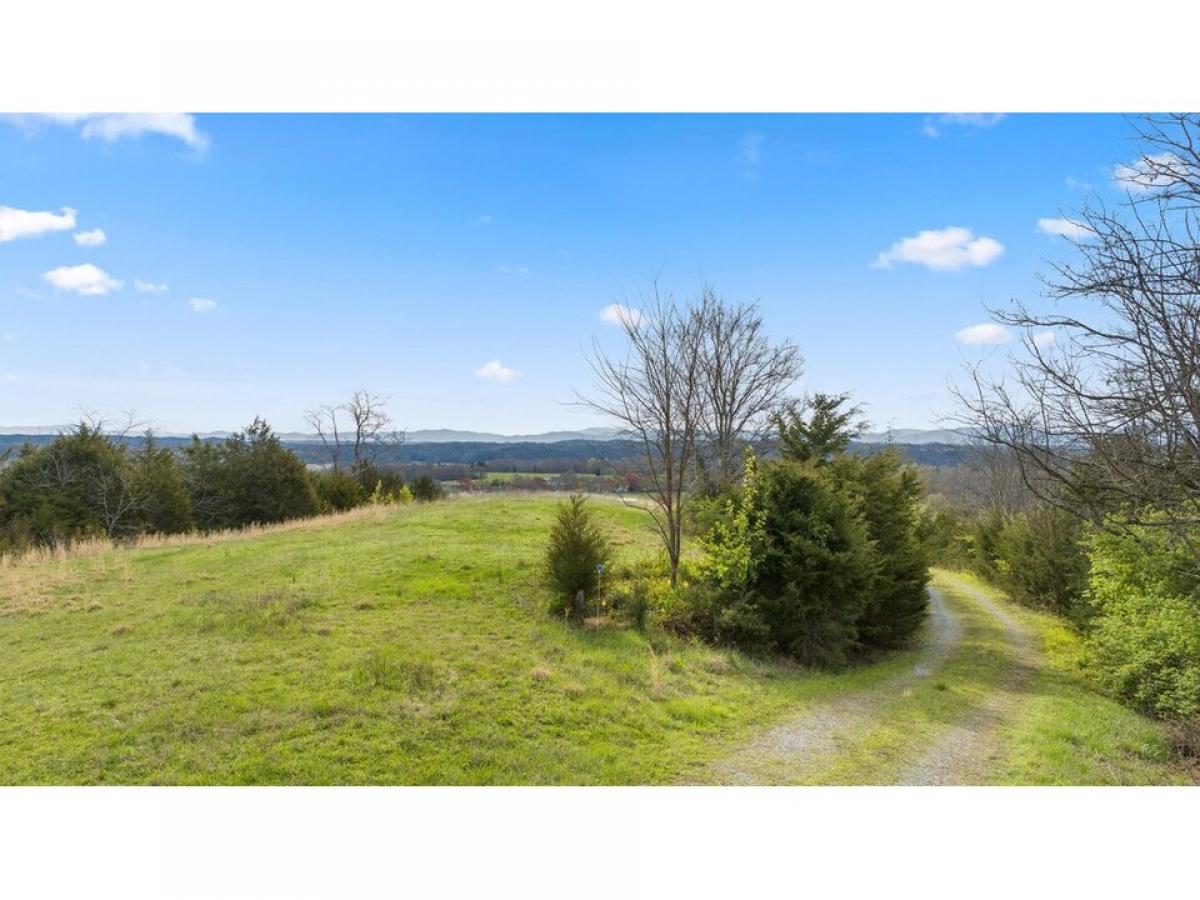 Picture of Residential Land For Sale in White Pine, Tennessee, United States