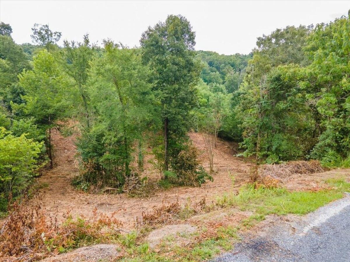 Picture of Residential Land For Sale in Dandridge, Tennessee, United States