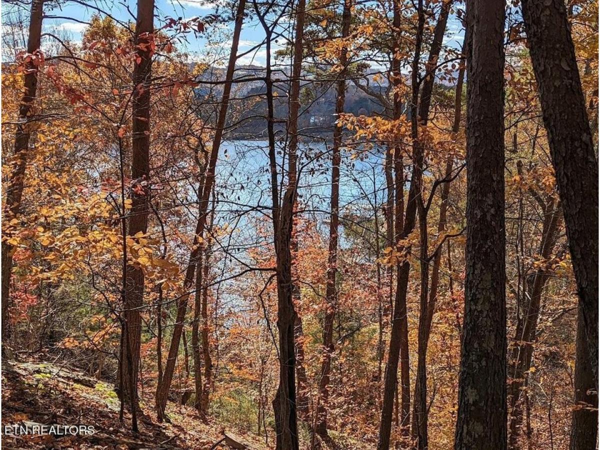 Picture of Residential Land For Sale in Sharps Chapel, Tennessee, United States