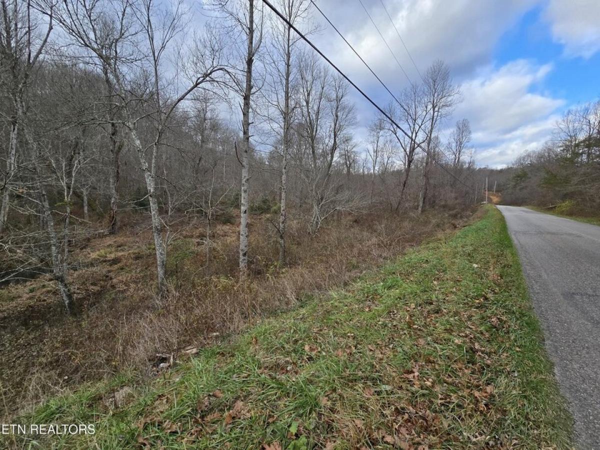 Picture of Residential Land For Sale in Pleasant Hill, Tennessee, United States