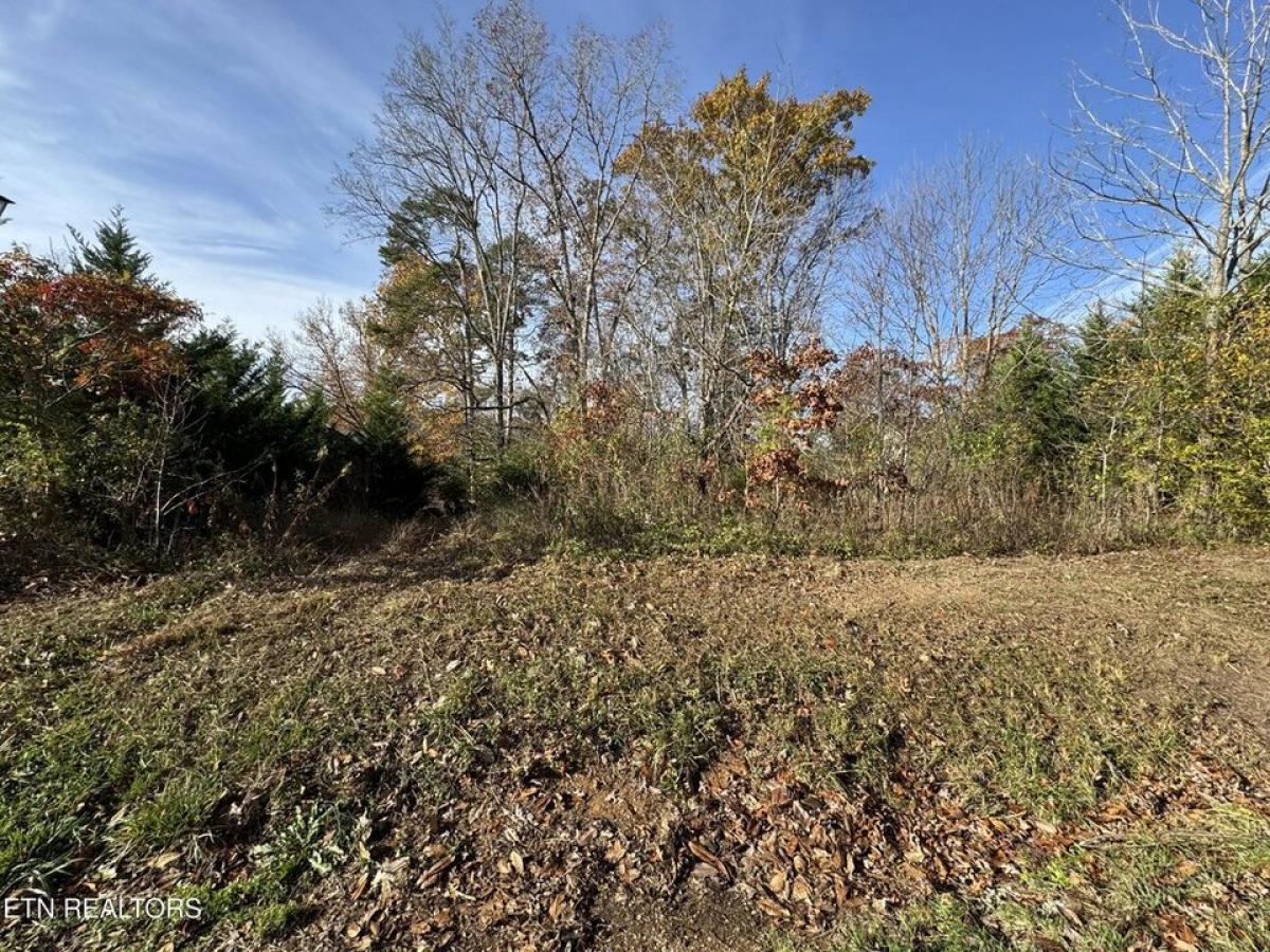 Picture of Residential Land For Sale in Loudon, Tennessee, United States