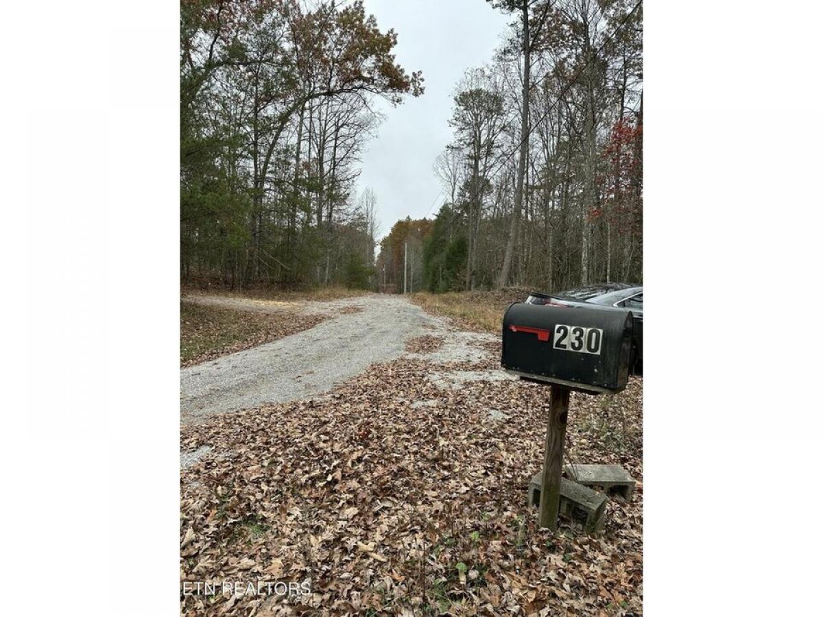 Picture of Residential Land For Sale in Jamestown, Tennessee, United States