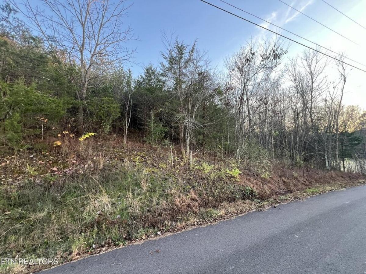 Picture of Residential Land For Sale in Seymour, Tennessee, United States