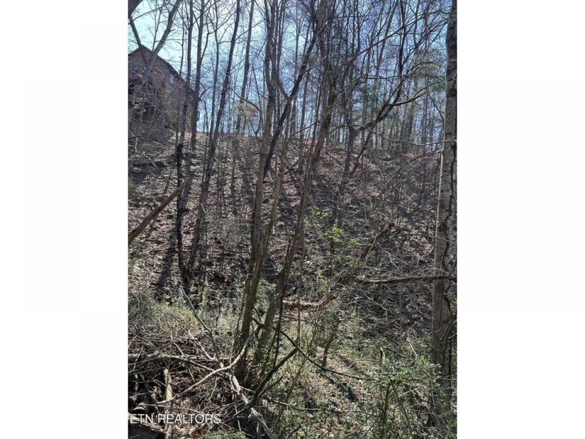 Picture of Residential Land For Sale in Pigeon Forge, Tennessee, United States