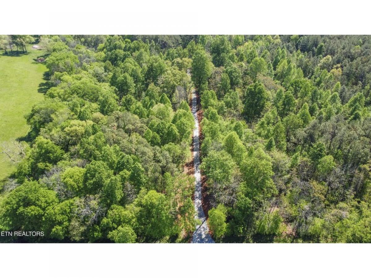 Picture of Residential Land For Sale in Loudon, Tennessee, United States