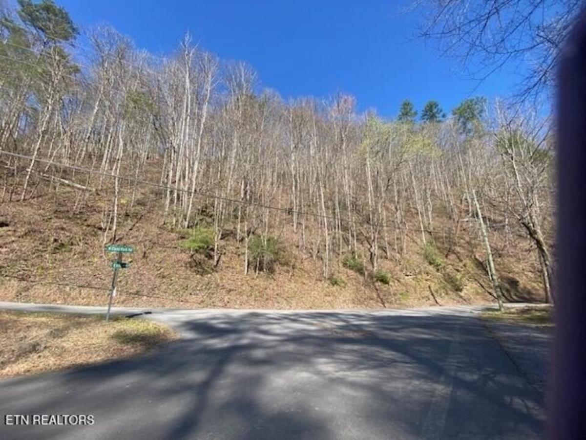 Picture of Residential Land For Sale in Sevierville, Tennessee, United States