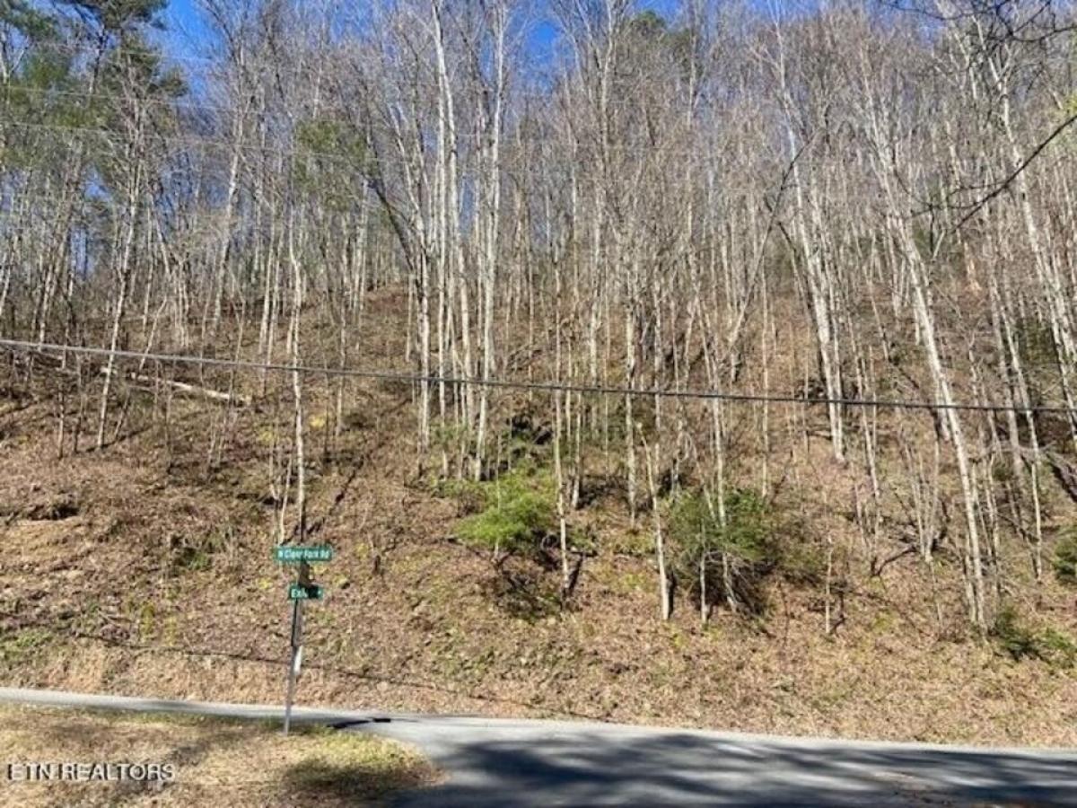 Picture of Residential Land For Sale in Sevierville, Tennessee, United States