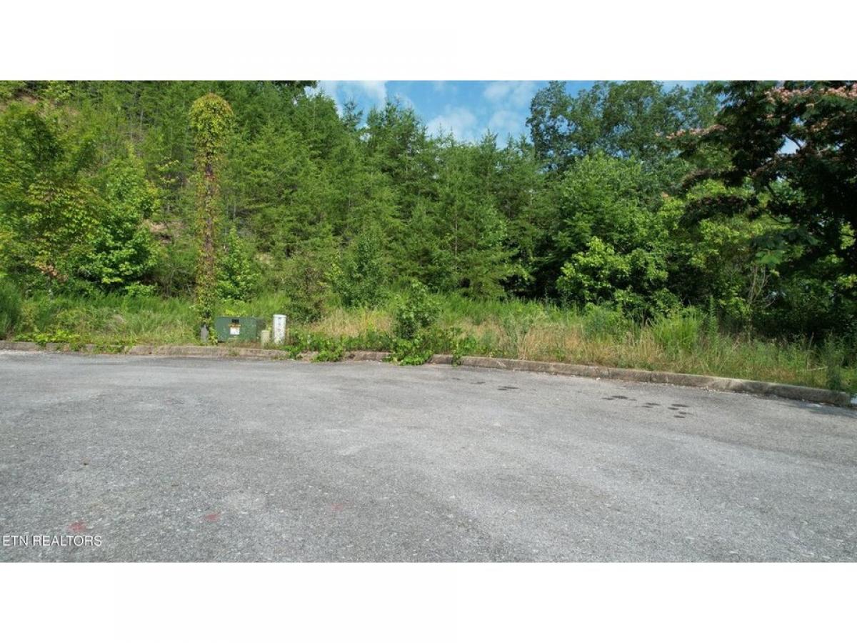 Picture of Residential Land For Sale in Sevierville, Tennessee, United States