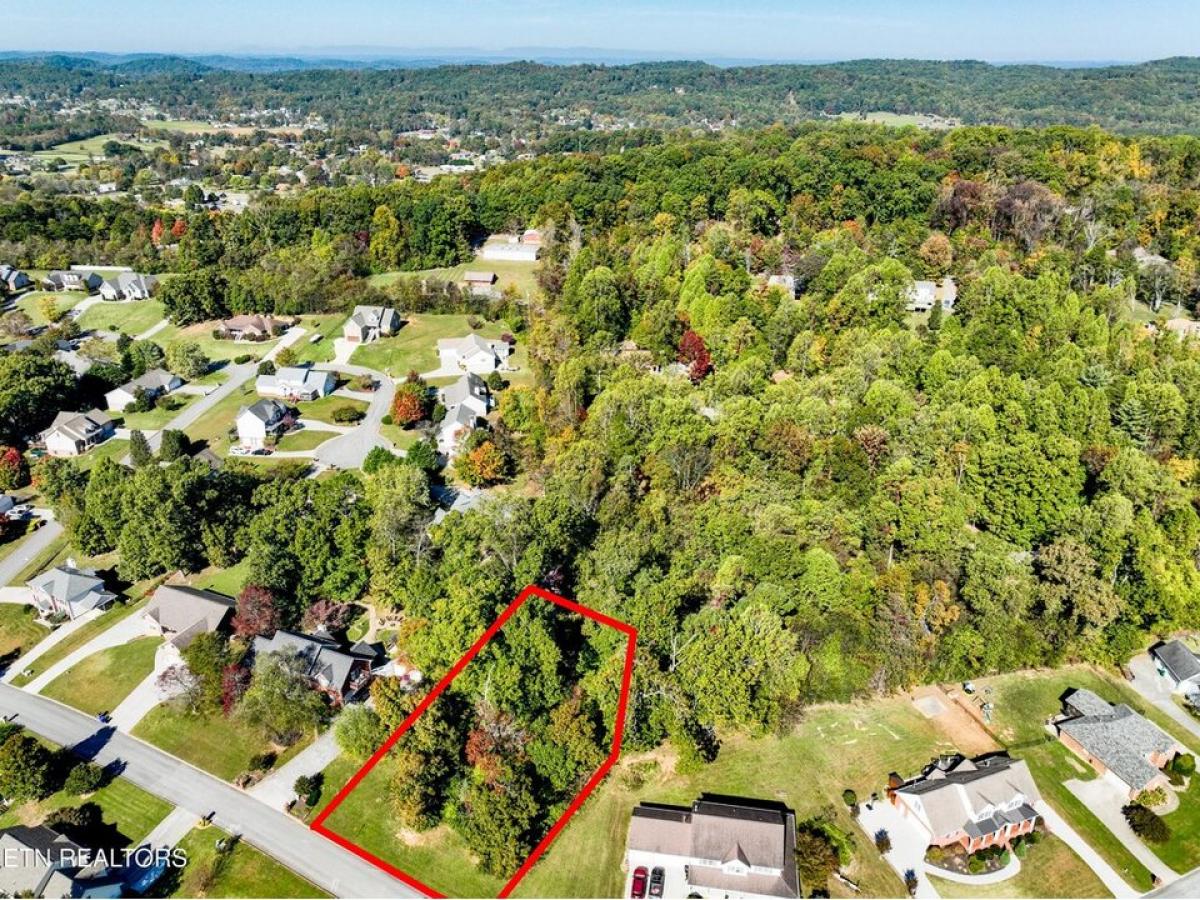 Picture of Residential Land For Sale in Seymour, Tennessee, United States