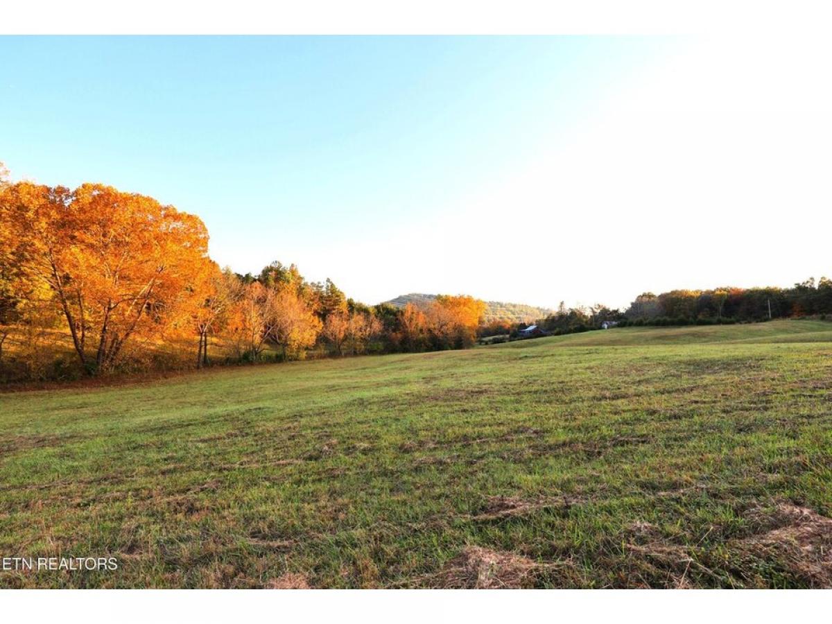 Picture of Residential Land For Sale in Knoxville, Tennessee, United States