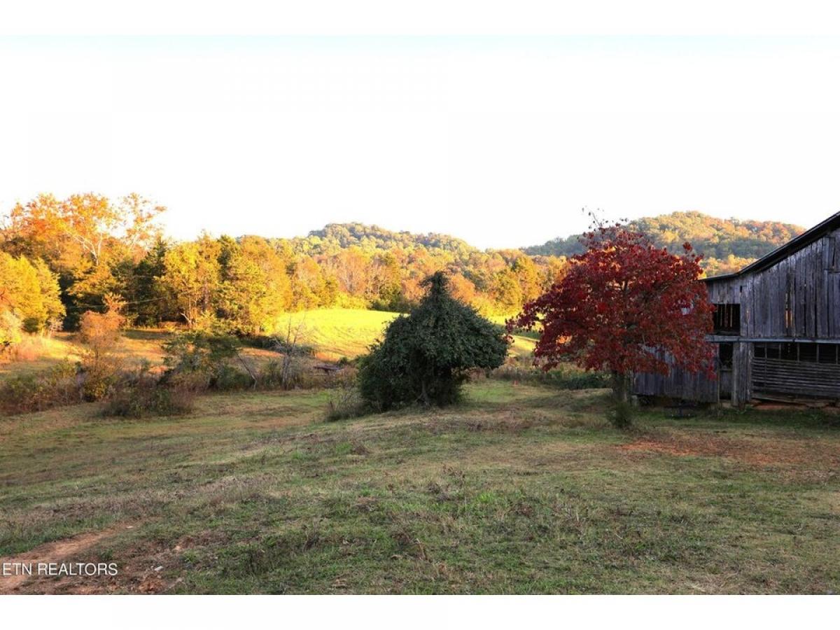 Picture of Residential Land For Sale in Knoxville, Tennessee, United States