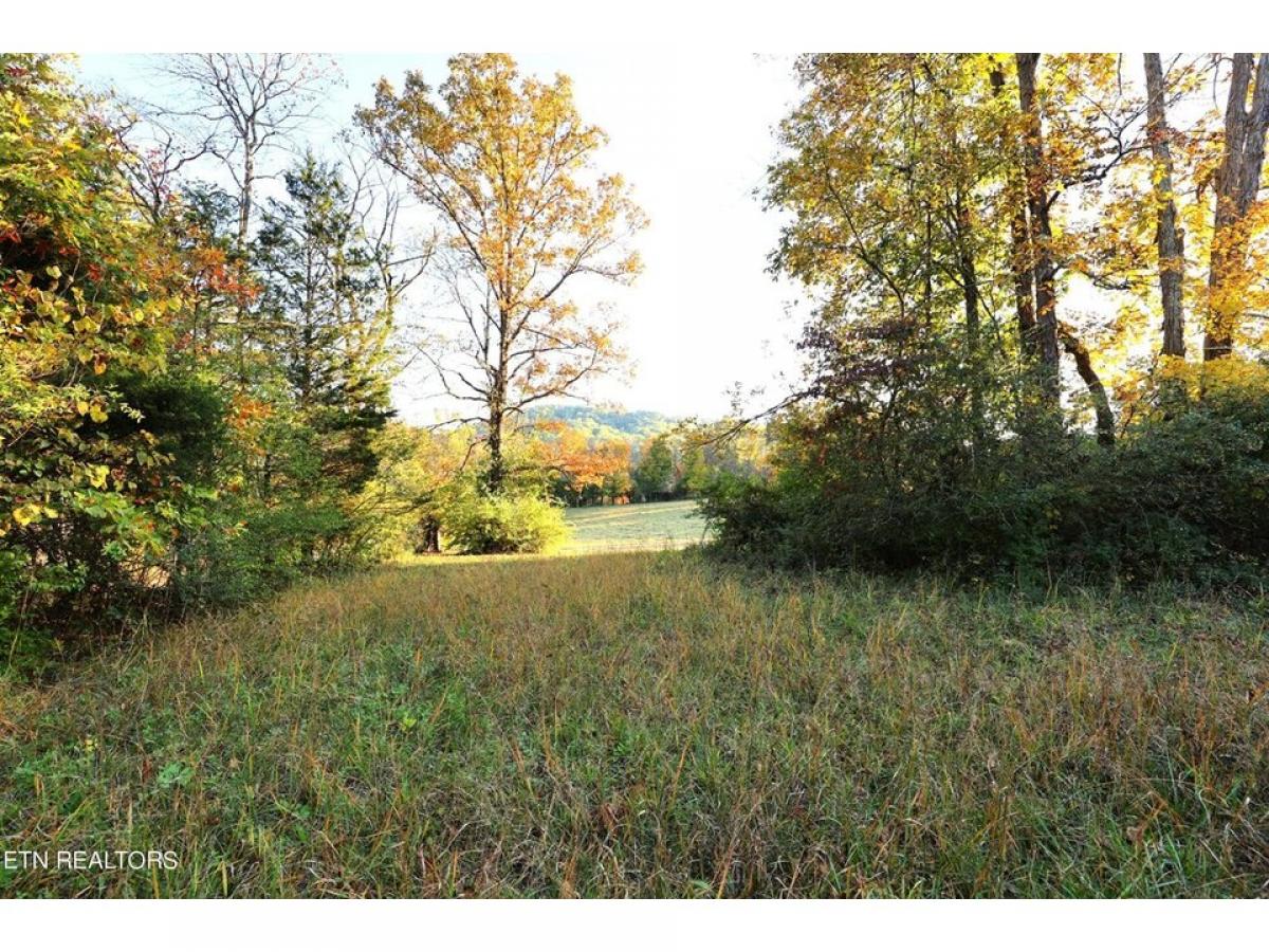 Picture of Residential Land For Sale in Knoxville, Tennessee, United States