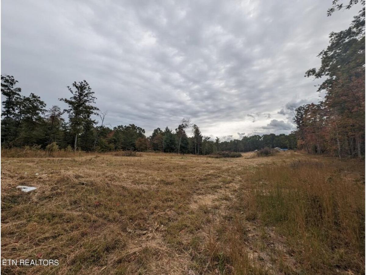 Picture of Residential Land For Sale in Deer Lodge, Tennessee, United States