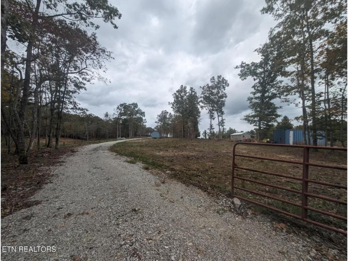 Picture of Residential Land For Sale in Deer Lodge, Tennessee, United States