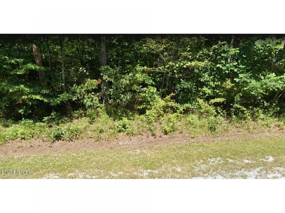 Picture of Residential Land For Sale in Crossville, Tennessee, United States