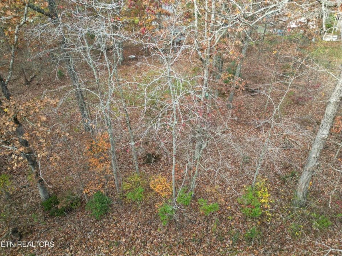 Picture of Residential Land For Sale in Crossville, Tennessee, United States