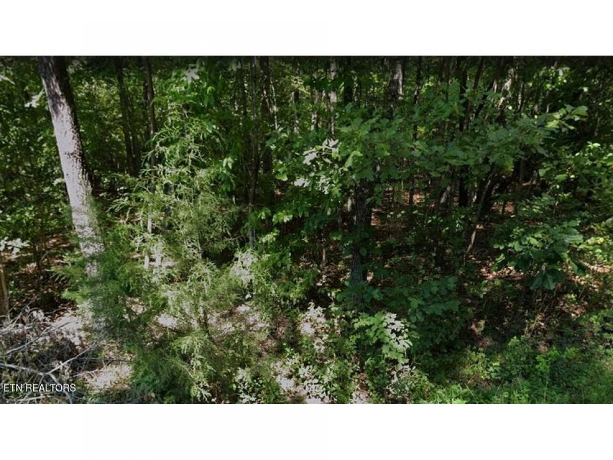 Picture of Residential Land For Sale in Crossville, Tennessee, United States