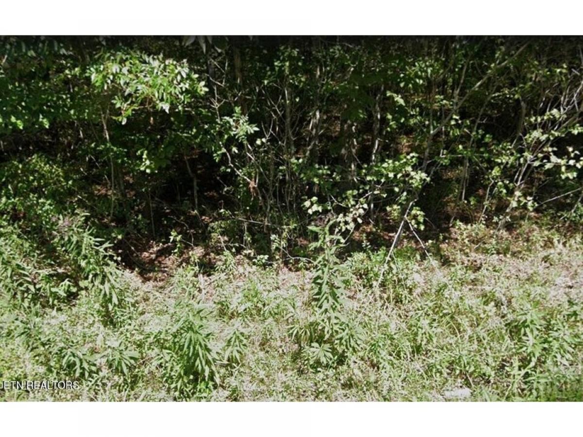 Picture of Residential Land For Sale in Crossville, Tennessee, United States