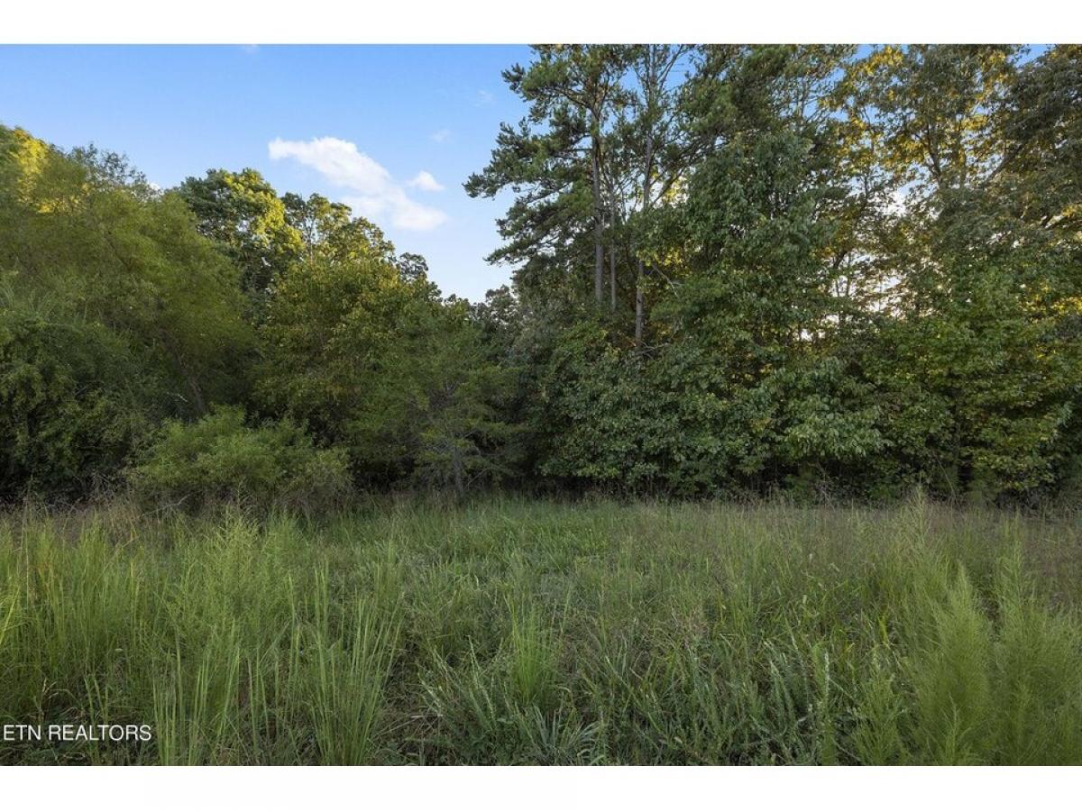 Picture of Residential Land For Sale in Sale Creek, Tennessee, United States