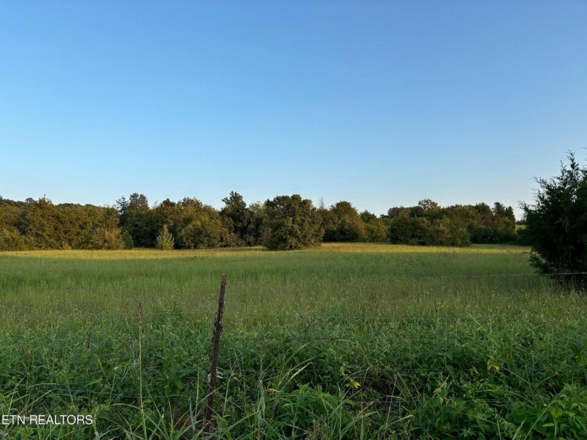 Picture of Residential Land For Sale in Knoxville, Tennessee, United States