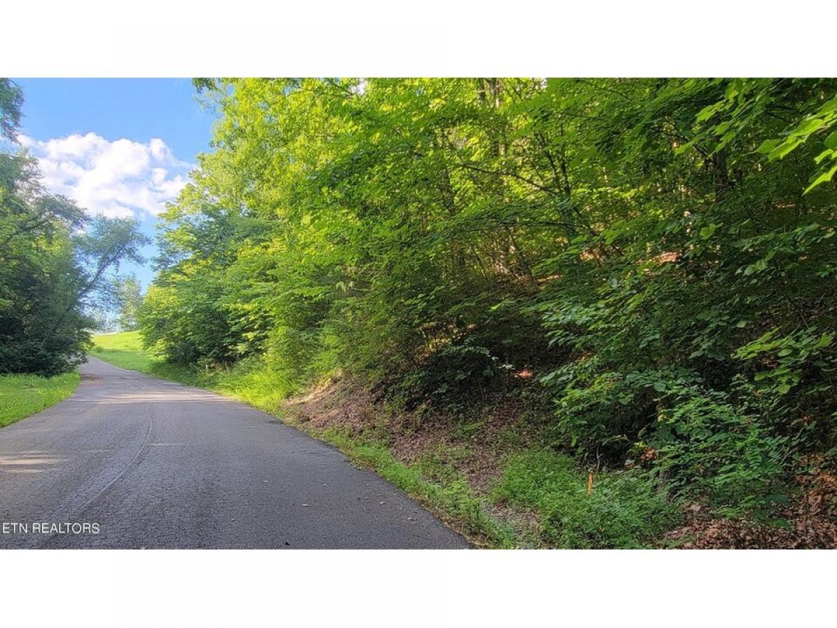 Picture of Residential Land For Sale in Newport, Tennessee, United States