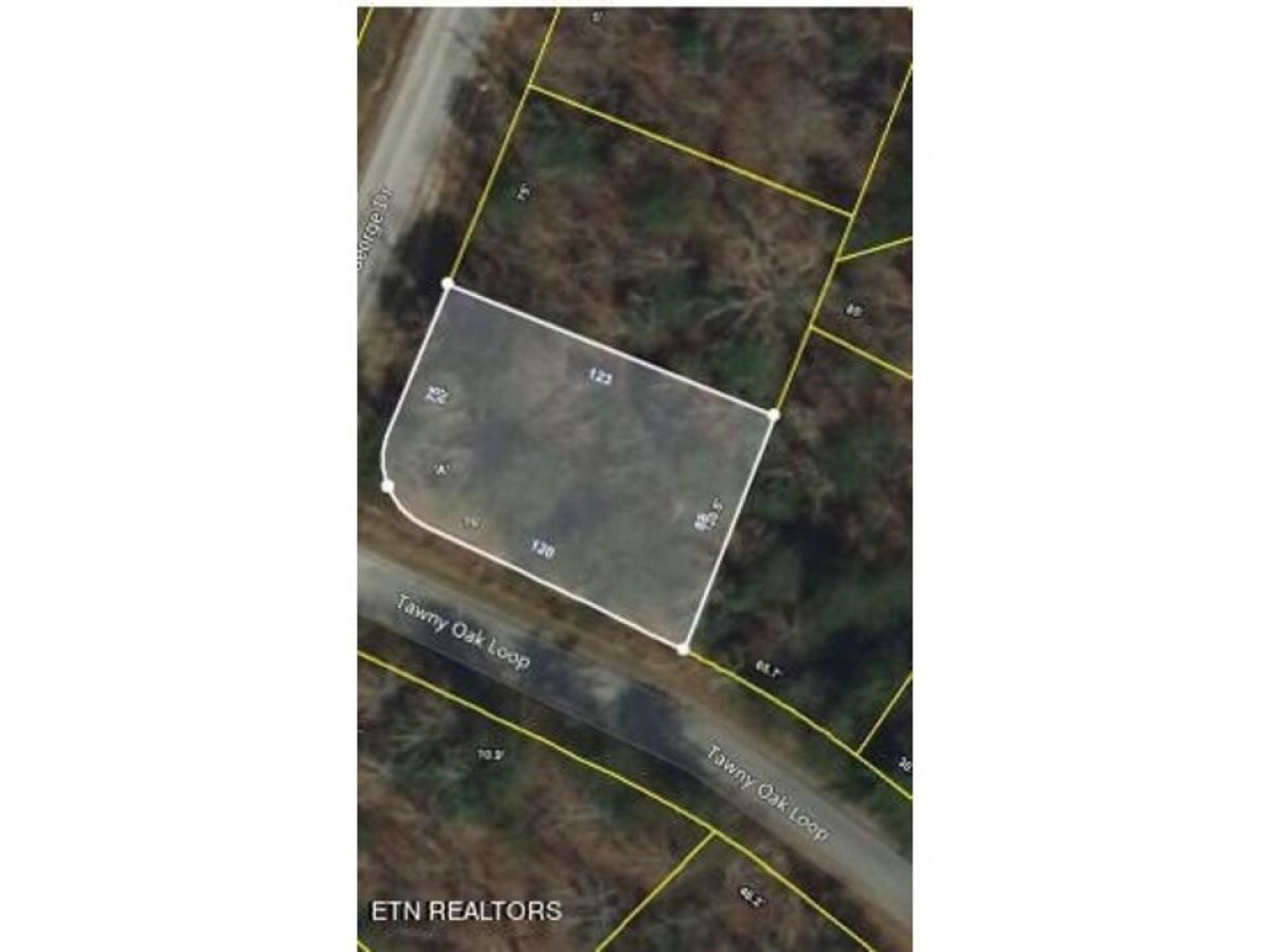 Picture of Residential Land For Sale in Crossville, Tennessee, United States