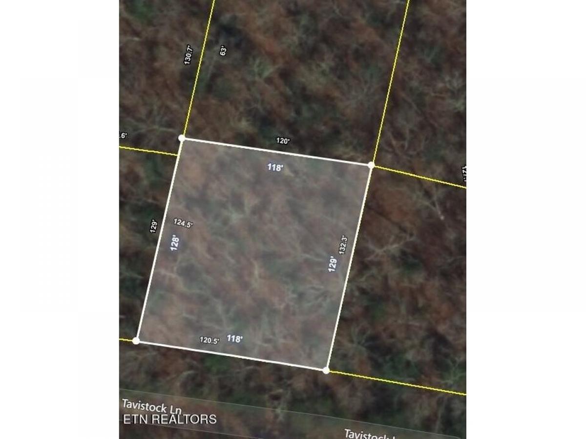 Picture of Residential Land For Sale in Crossville, Tennessee, United States