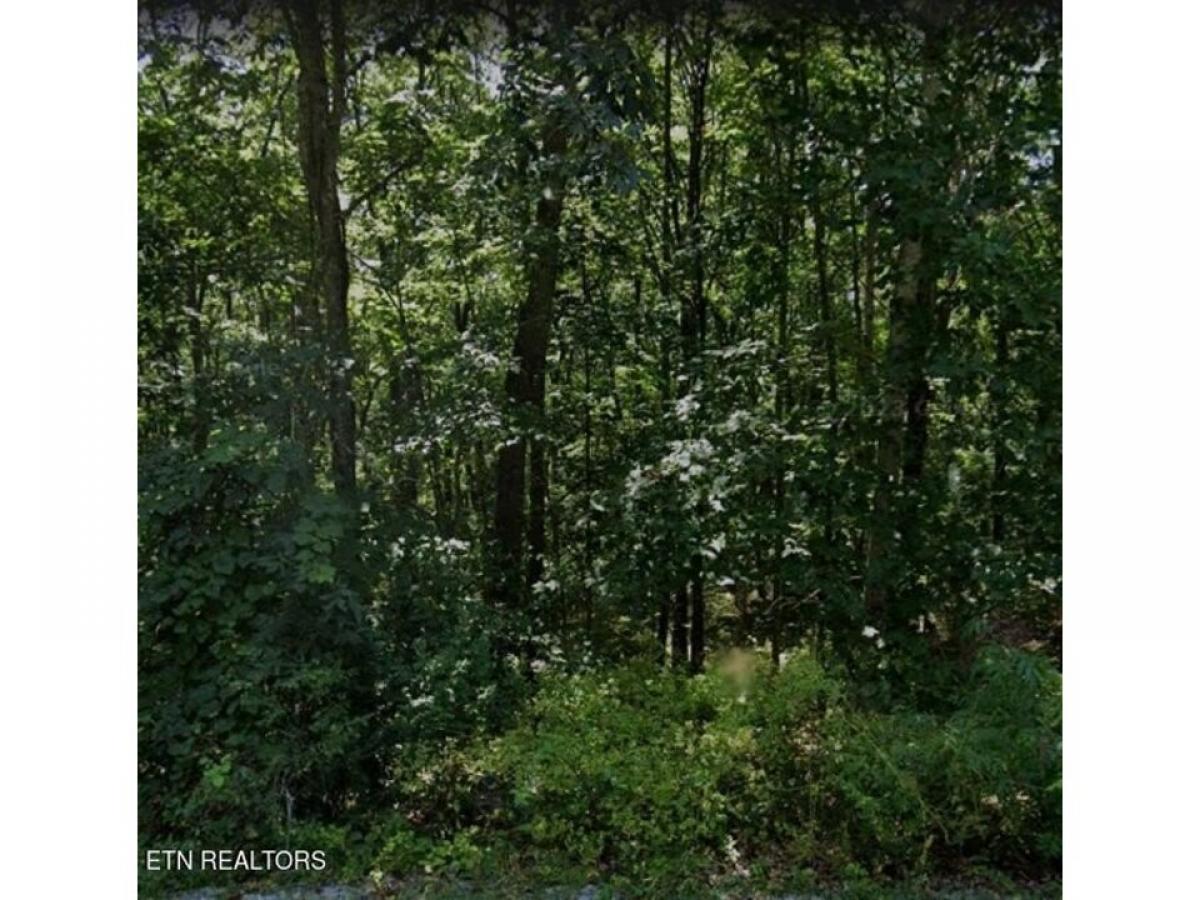 Picture of Residential Land For Sale in Crossville, Tennessee, United States