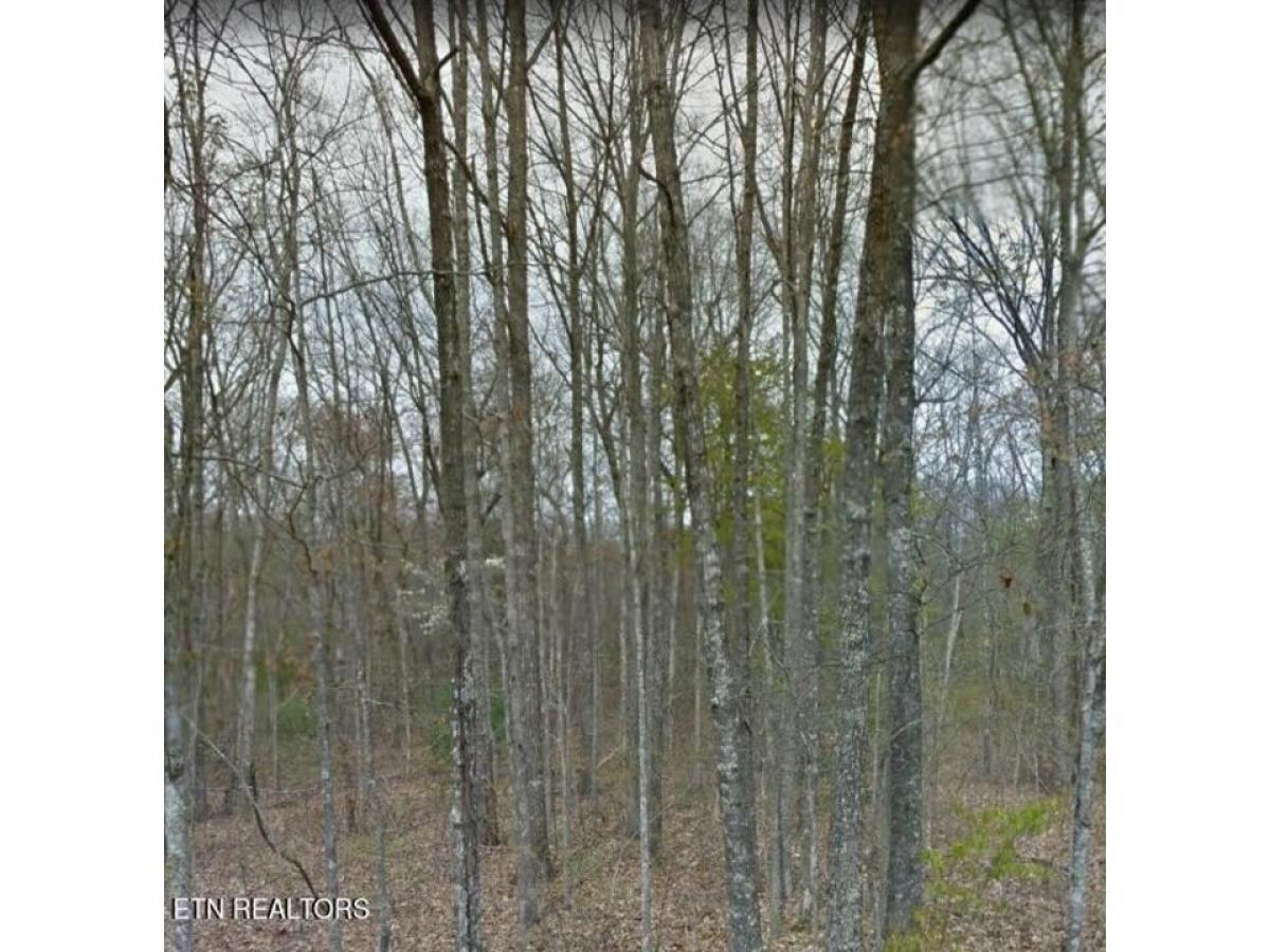 Picture of Residential Land For Sale in Crossville, Tennessee, United States