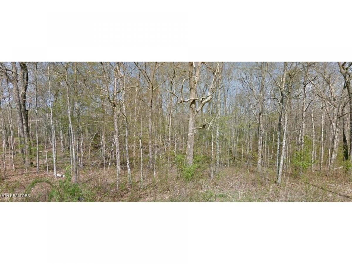 Picture of Residential Land For Sale in Crossville, Tennessee, United States