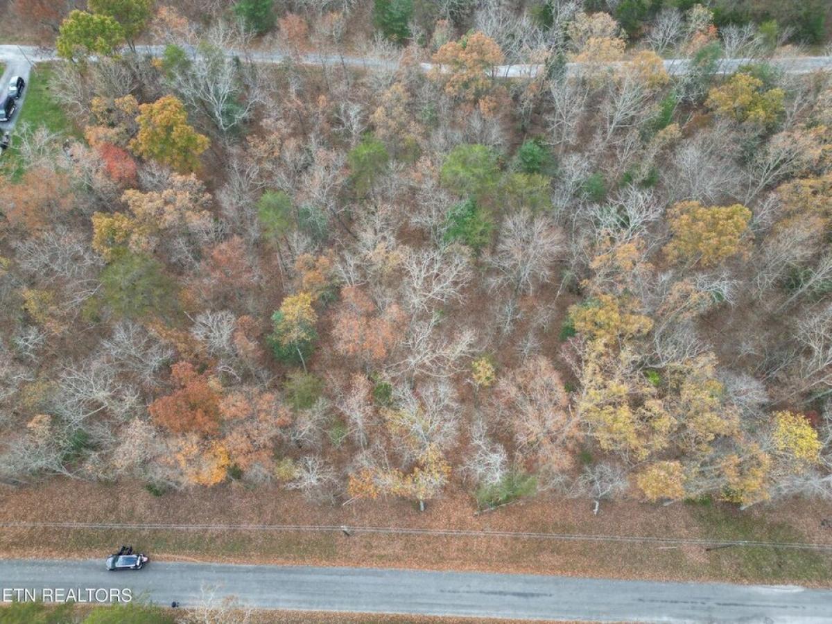 Picture of Residential Land For Sale in Crossville, Tennessee, United States