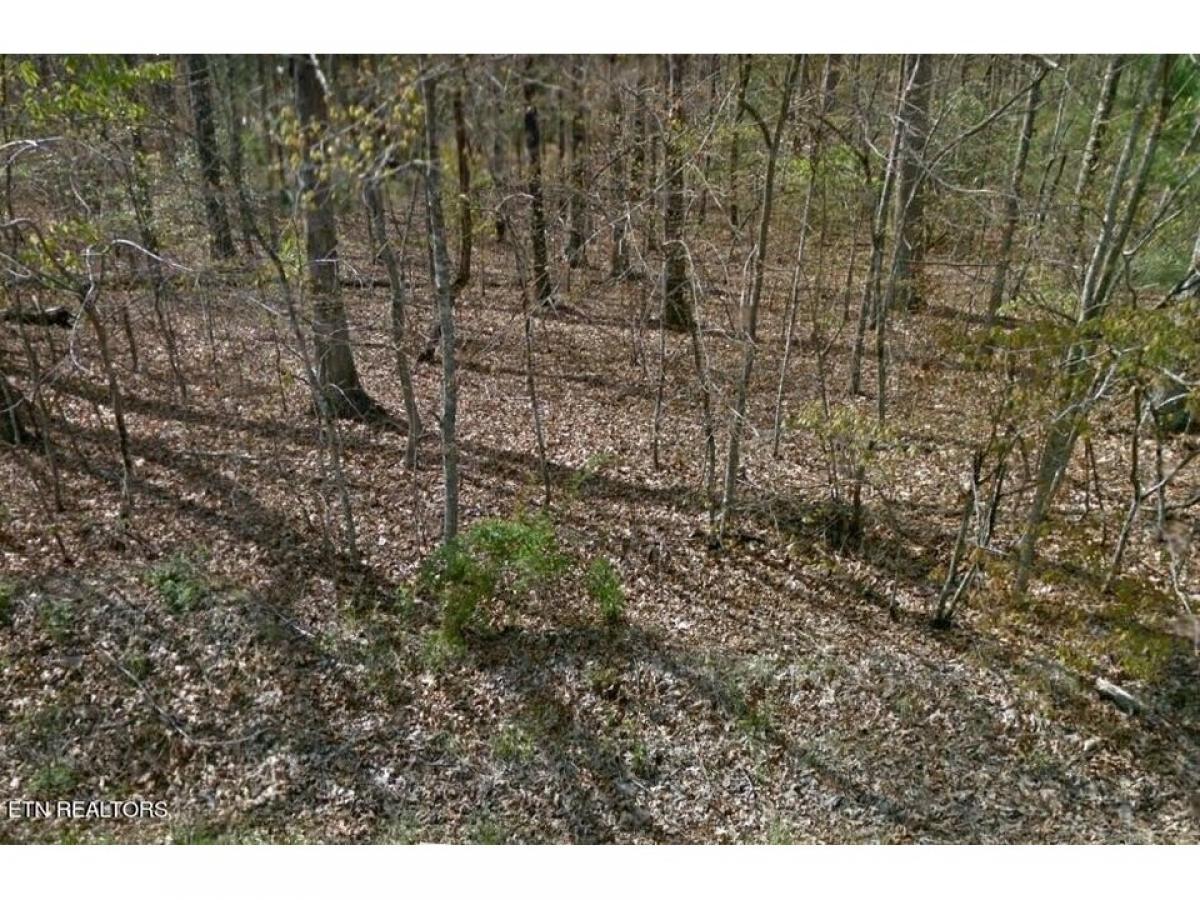 Picture of Residential Land For Sale in Crossville, Tennessee, United States