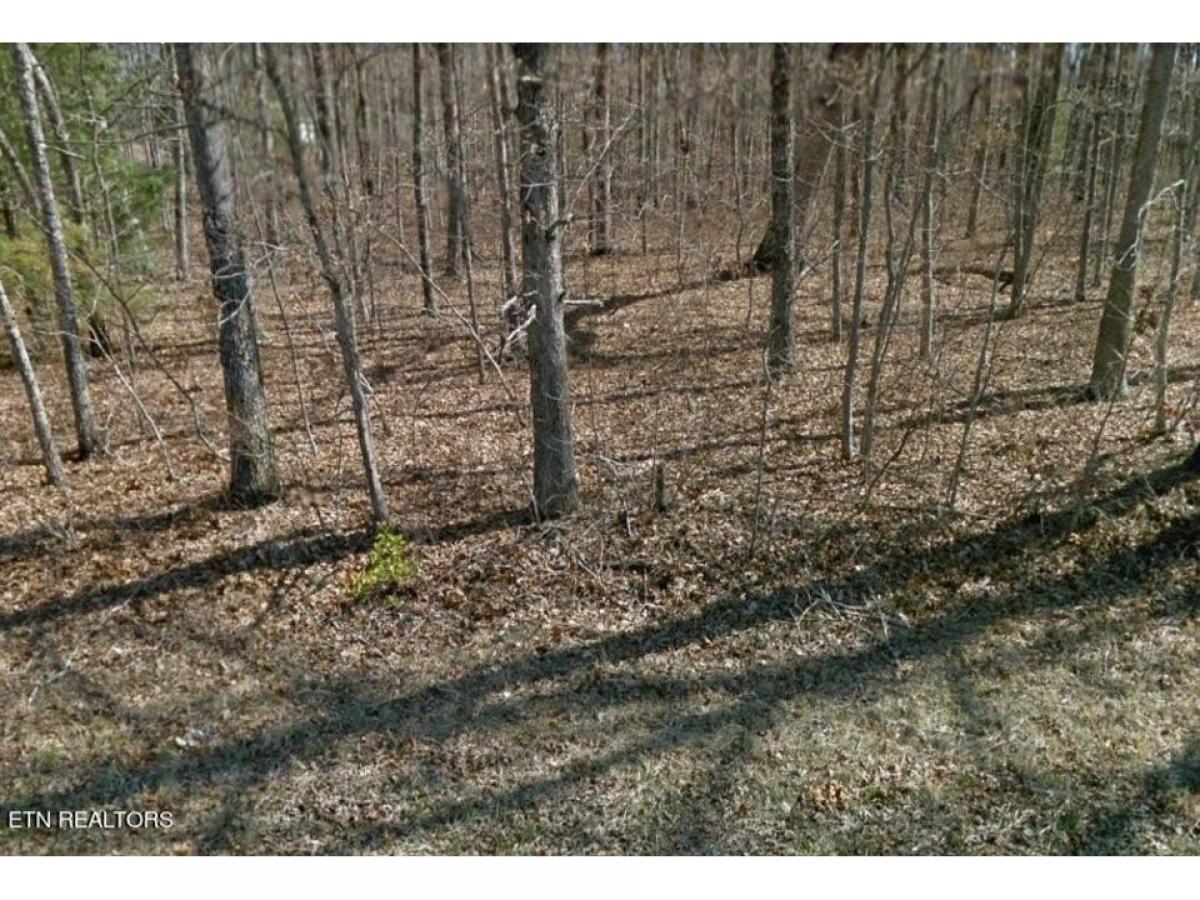 Picture of Residential Land For Sale in Crossville, Tennessee, United States