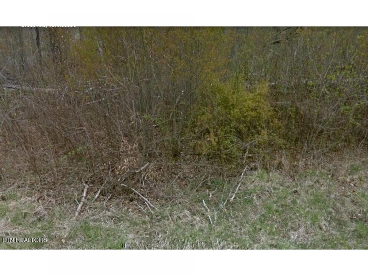 Picture of Residential Land For Sale in Crossville, Tennessee, United States