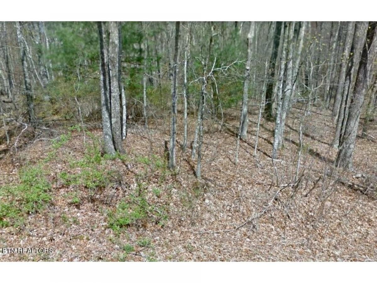 Picture of Residential Land For Sale in Crossville, Tennessee, United States