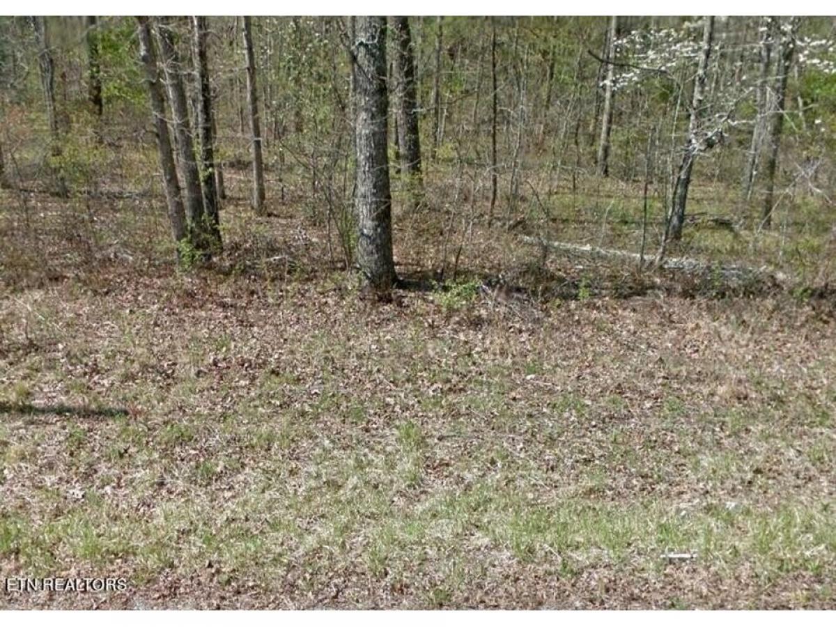 Picture of Residential Land For Sale in Crossville, Tennessee, United States